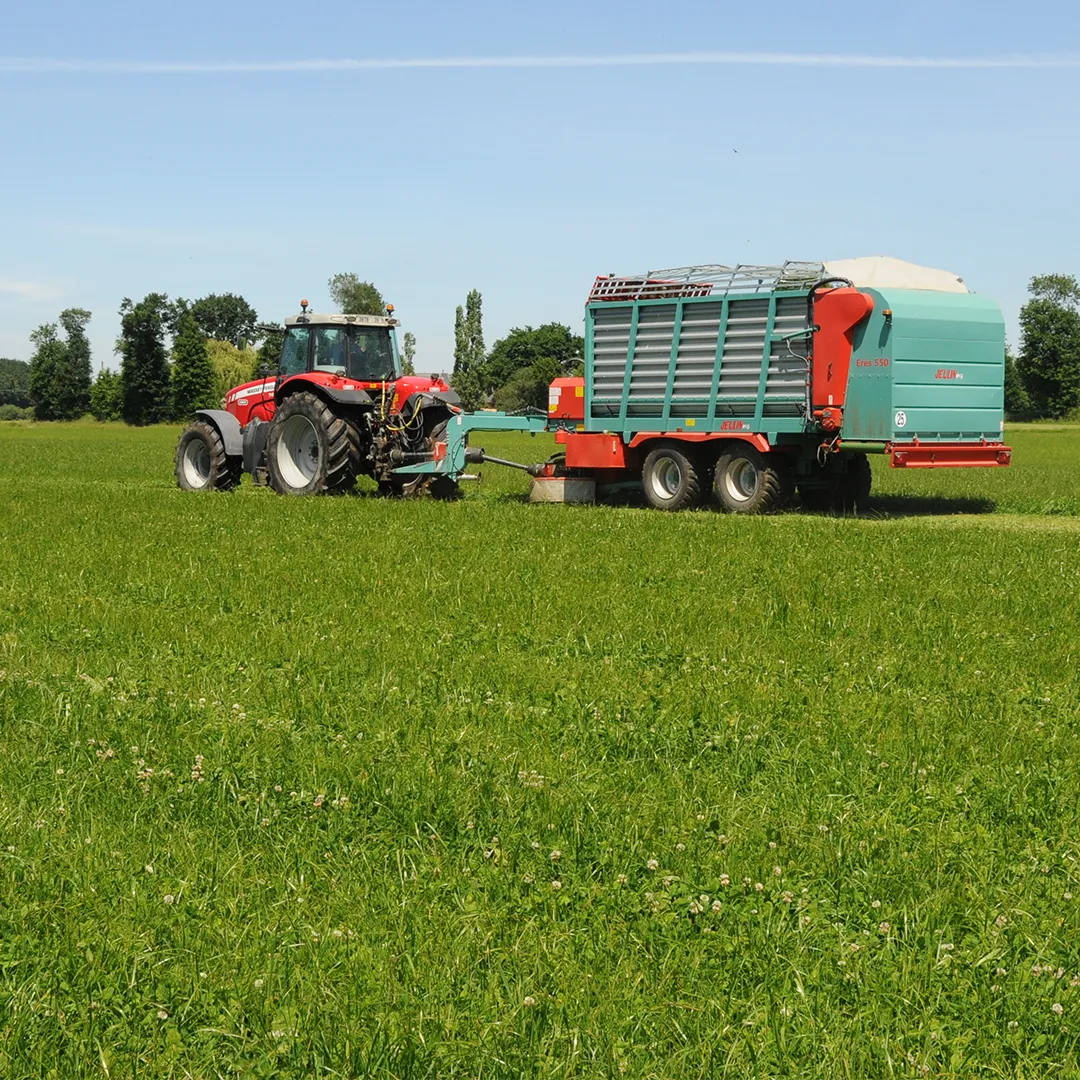 Concepteur et fabricant français de matériels d’élevage depuis 1953