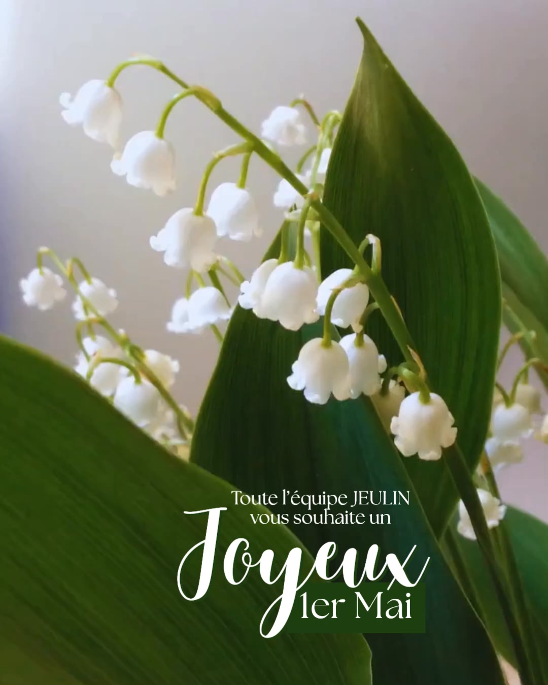 Jeulin SAS